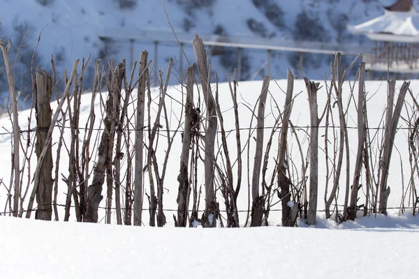 Holzzaun im Schnee im Winter — Stockfoto