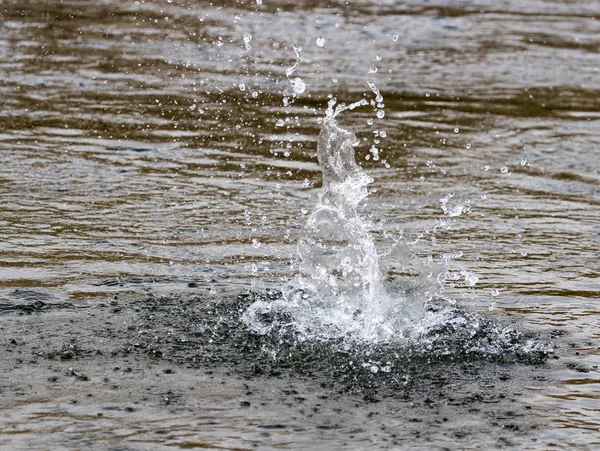 Agua salpicando de una piedra en el río — Foto de Stock