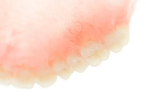 Ψεύτικα δόντια σε λευκό φόντο — Φωτογραφία Αρχείου