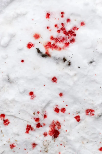 Red blood on the snow — Stock Photo, Image