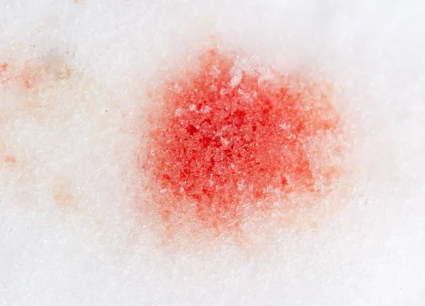 Sangue vermelho na neve — Fotografia de Stock