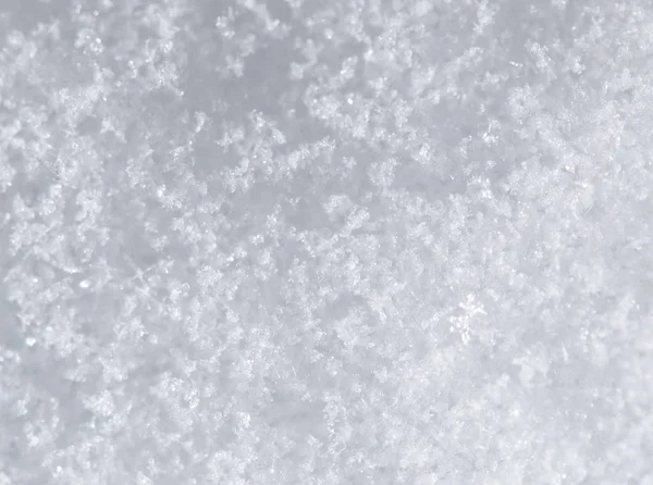 Snow as a backdrop. macro — Stock Photo, Image