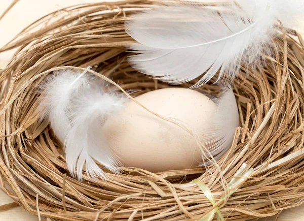 tavuk yumurtası tüy ile bir yuvada