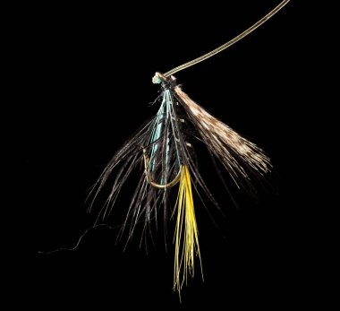 Siyah arka planda balık yakalamak için uç .