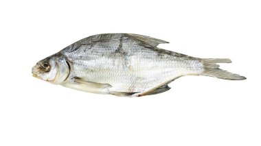 Beyaz arka planda kurutulmuş balık. Fotoğraflar stüdyoda.