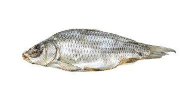 Beyaz arka planda kurutulmuş balık. Fotoğraflar stüdyoda.