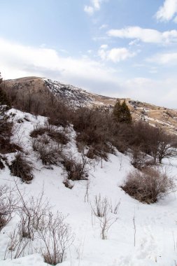 Tien Shan dağlarında kışın doğa. Kazakistan .