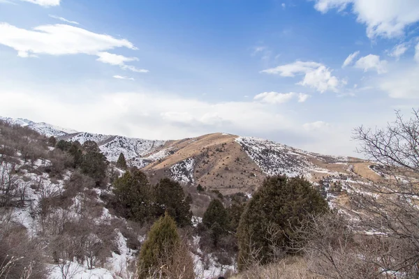 Φύση Στα Βουνά Τιέν Σαν Χειμώνα Καζακστάν — Φωτογραφία Αρχείου