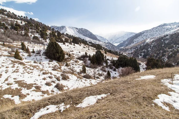 Naturaleza Las Montañas Tien Shan Invierno Kazajstán — Foto de Stock