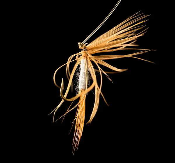 Fly Catch Fish Black Background — Stock Photo, Image