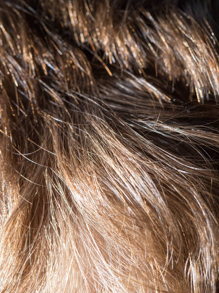 human hair as a background. texture . Photo of an abstract texture