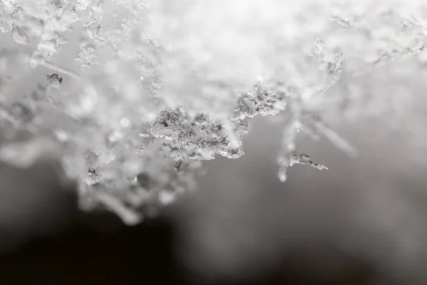 Снег Природе Фон Macro — стоковое фото