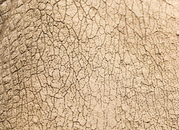 Pelle Rinoceronte Come Sfondo Foto Una Texture Astratta — Foto Stock