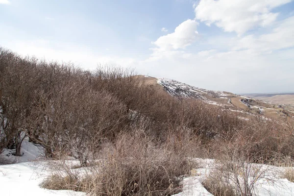 Natur Tien Shan Gebirge Winter Kasachstan — Stockfoto