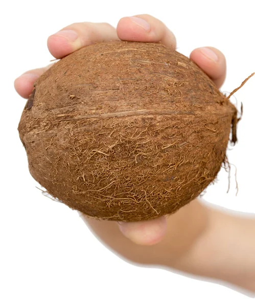 Kokosnoot Hand Een Witte Achtergrond — Stockfoto