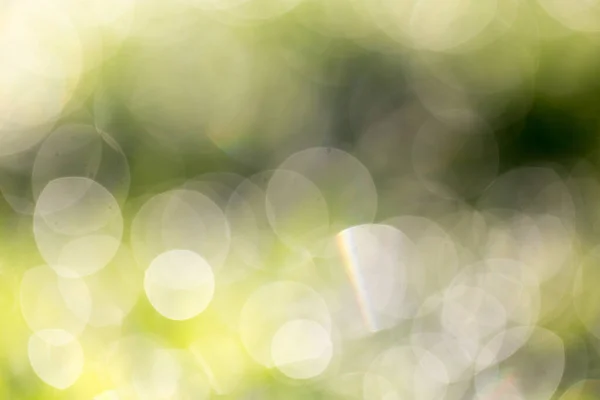 Bokeh Background Green Nature Photo Abstract Texture Royalty Free Stock Images