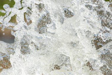 Doğada su damlaları. Doğadaki parkta.