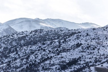 Kışın Tian Shan 'ın karla kaplı dağları .