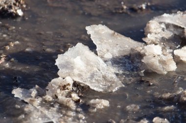 Kar ve buz yolda. Doğadaki parkta.