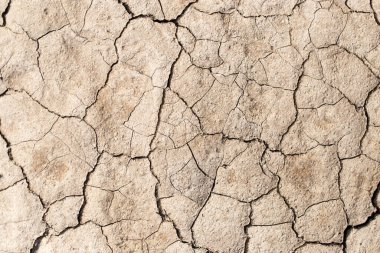 Arka plan olarak dünyayı çatlatmış. Doku. Soyut bir dokunun fotoğrafı