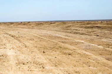 Doğadaki toprak yol. .