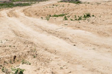 Doğadaki toprak yol. .