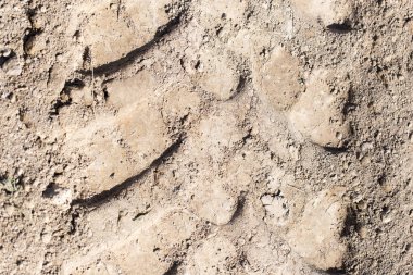 Arka plan olarak yerdeki makinenin izi. .