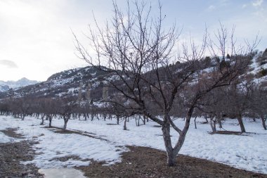 Kışın Tian Shan 'ın karla kaplı dağları .