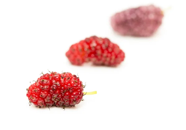 Mulberry Berry White Background Photos Studio — Stock Photo, Image