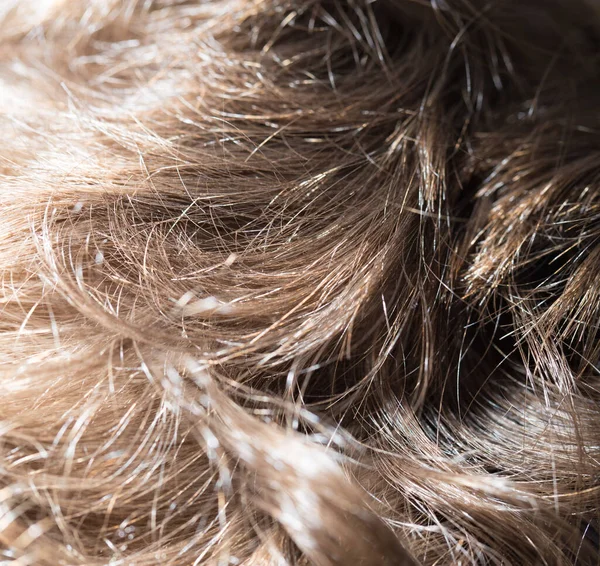 Cabelo Humano Como Pano Fundo Textura Foto Uma Textura Abstrata — Fotografia de Stock