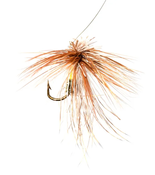 Fly Fishing White Background — Stock Photo, Image