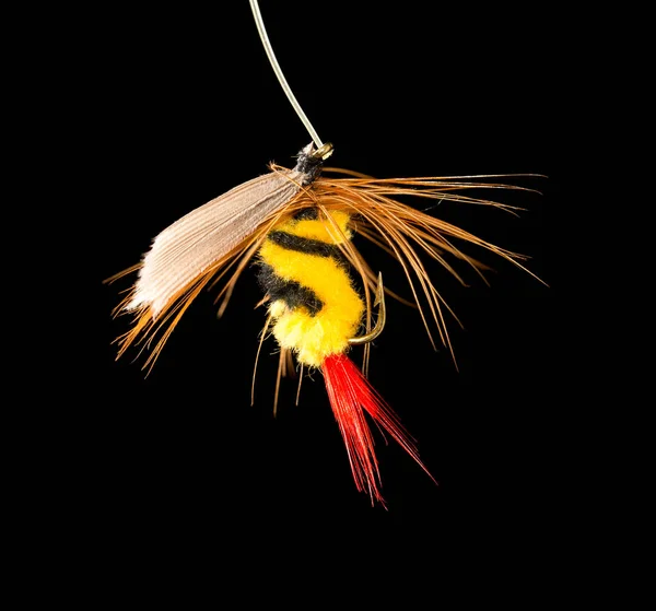 Fly Catch Fish Black Background — Stock Photo, Image