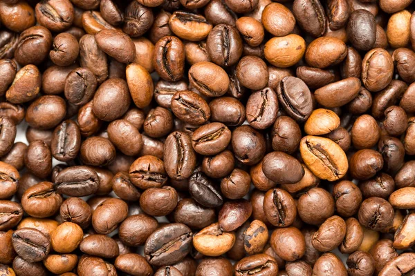 Coffee Beans Background Photos Studio — Stock Photo, Image