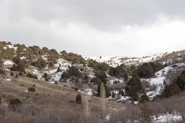 Φύση Στα Βουνά Τιέν Σαν Χειμώνα Καζακστάν — Φωτογραφία Αρχείου