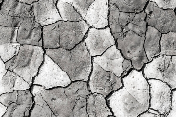 cracked earth as a background. texture . In the park in nature