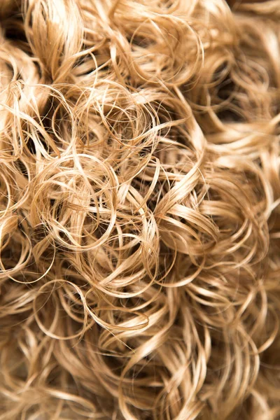 波状の髪を背景に テクスチャ スタジオの写真 — ストック写真