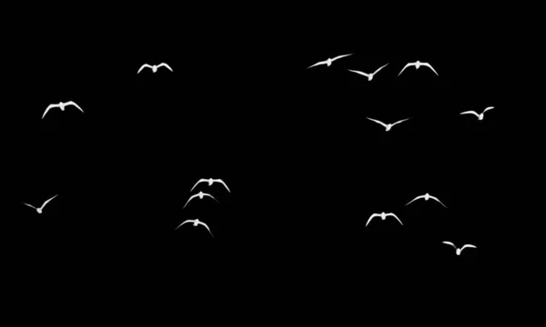 Silhouette Flock Birds Black Background — Stock Photo, Image