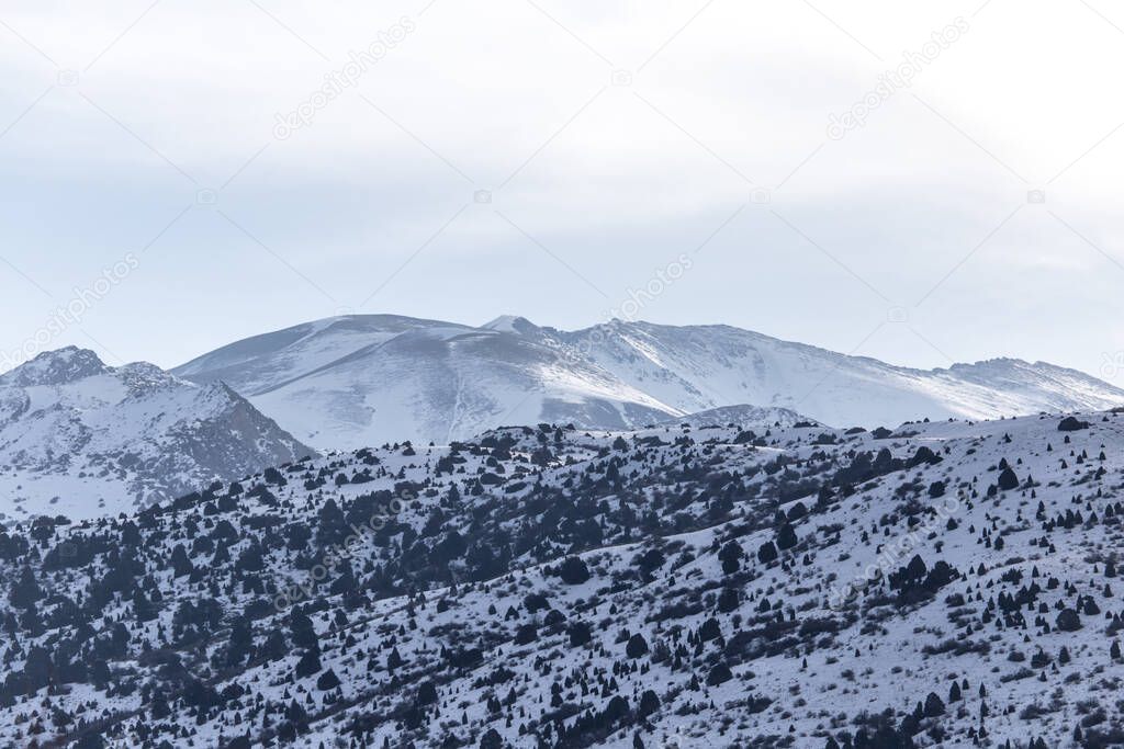 snow-capped mountains of the Tian Shan in winter .