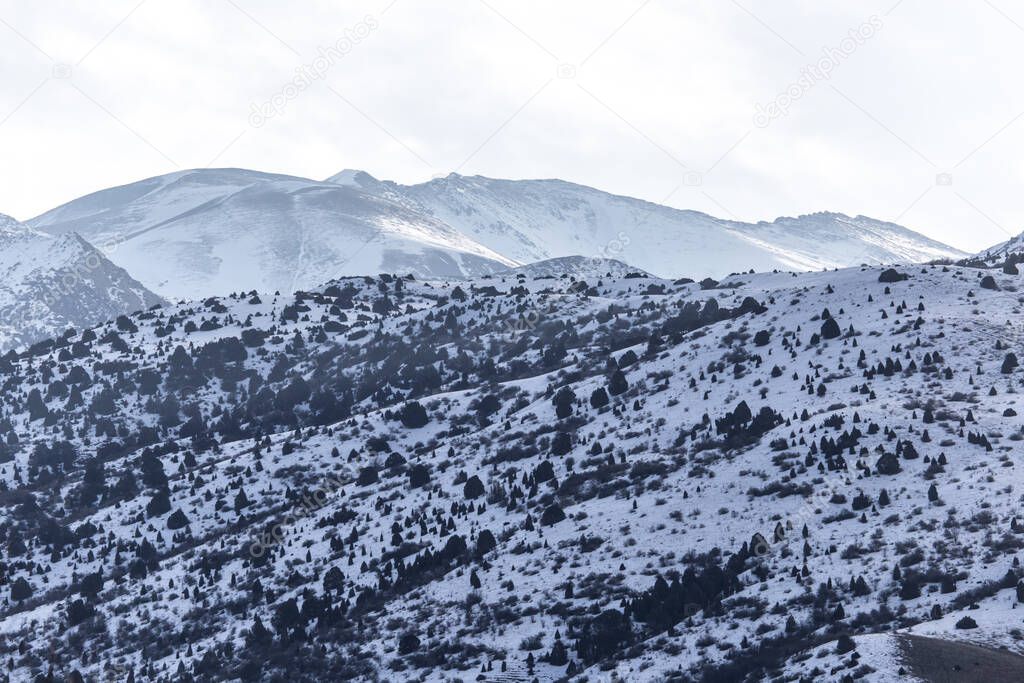 snow-capped mountains of the Tian Shan in winter .