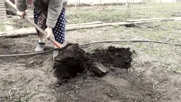 Filmati Ritagliati Donna Che Spalava Terreno Giardino — Video Stock