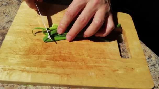 人在木板上切绿色洋葱的剪影 — 图库视频影像