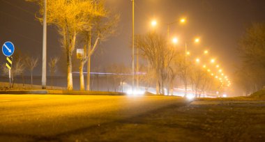 Geceleyin hareket halindeki arabalarla yol. Doğadaki parkta.