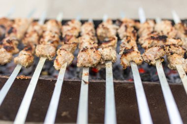 Izgarada ızgara şiş. Doğadaki parkta.