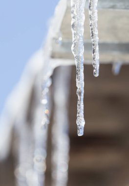 Çatıdan sarkan buz saçakları. Doğadaki parkta.