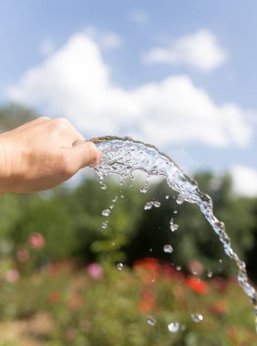 Bahçedeki hortumun sulama suyu.