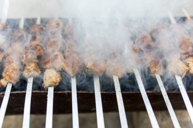 Izgarada ızgara şiş. Doğadaki parkta.