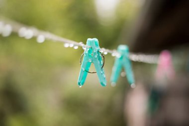 Sabahları yağmurdan sonra damlayan suyla mandallar.. .