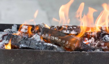 Brezilya 'da odun yakmak. Doğadaki parkta.