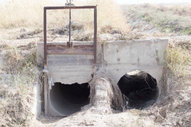 Doğada beton bir hendek. Doğadaki parkta.