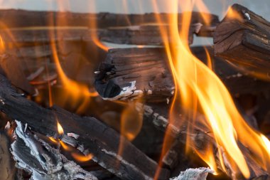 Brezilya 'da odun yakmak. Doğadaki parkta.